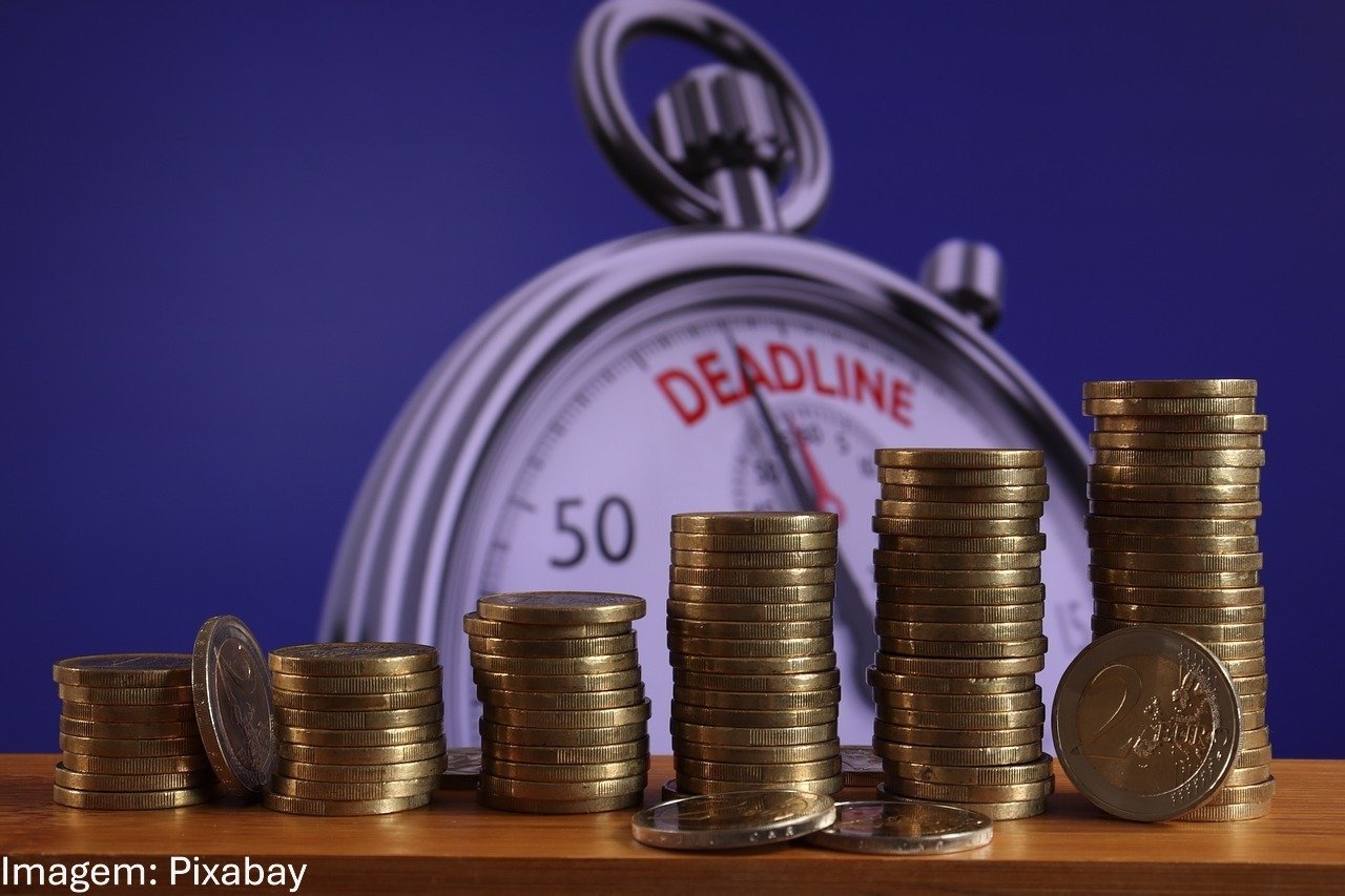 Empresas de crescimento na Bolsa Brasileira: Como identificá-las usando o payout e o Índice Small Cap